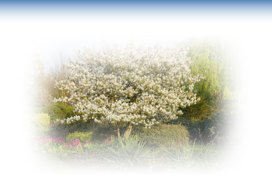 Contact Harwood Park Crematorium