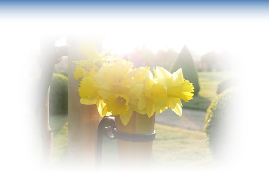 Harwood Park dedicated flower vases
