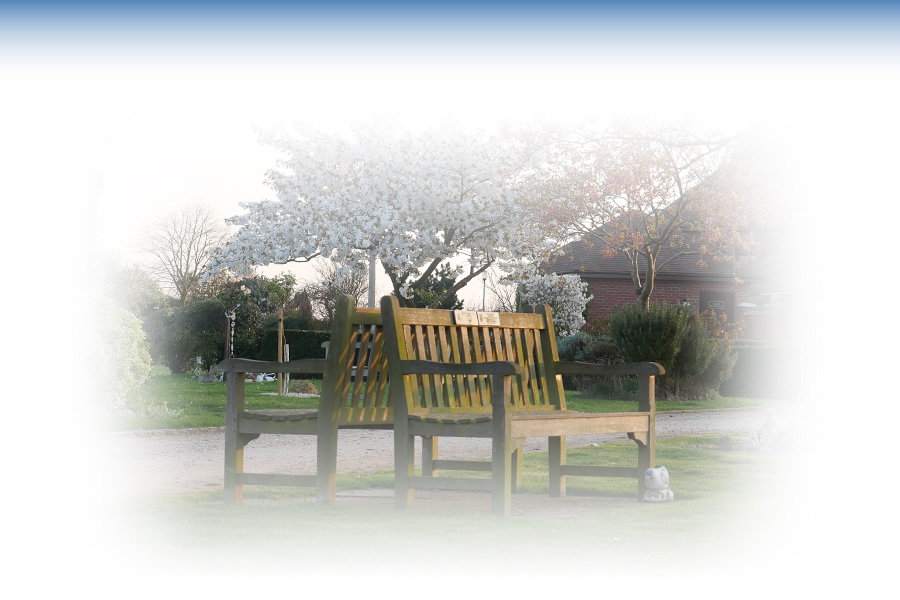 Harwood Park dedicated benches and seats