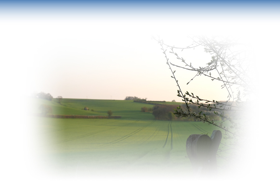 Our charitable foundation