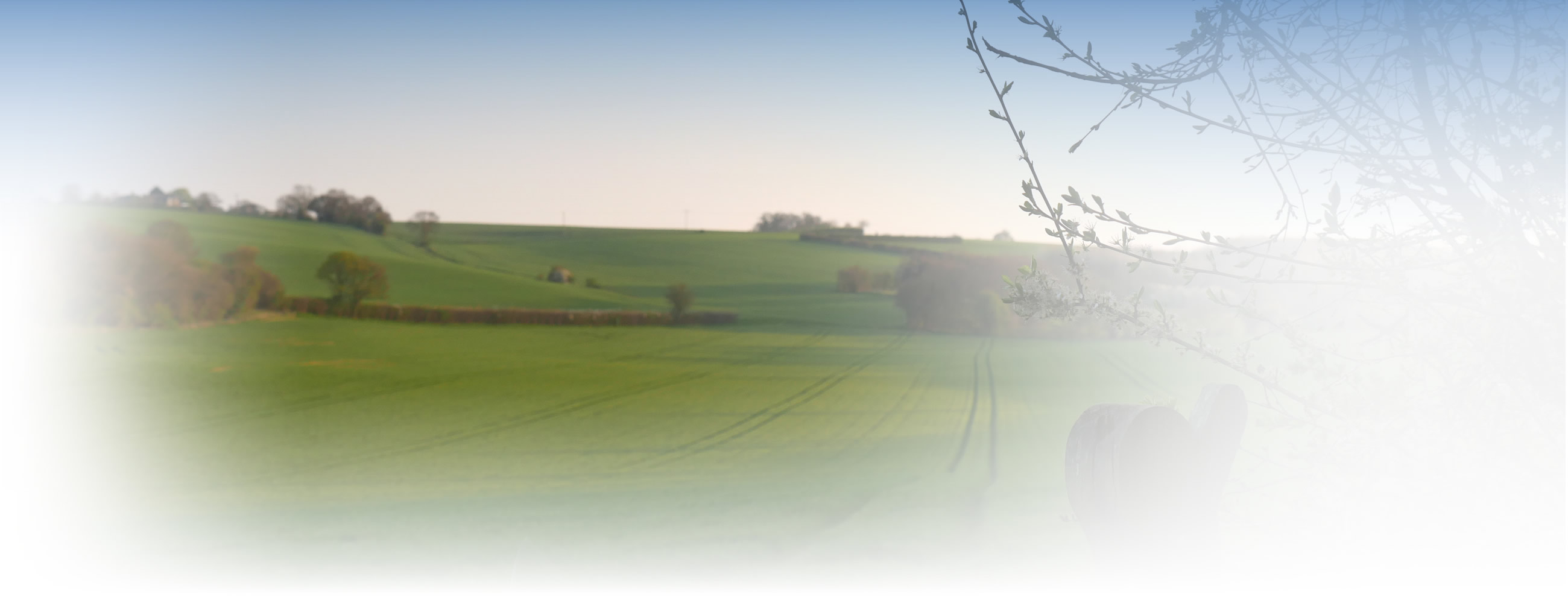 Our charitable foundation