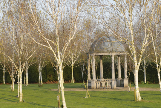 Birch Grove