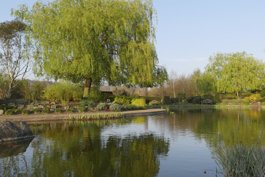 Waterside