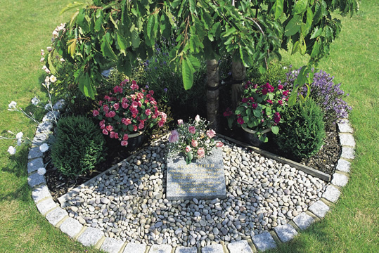 Circular plot