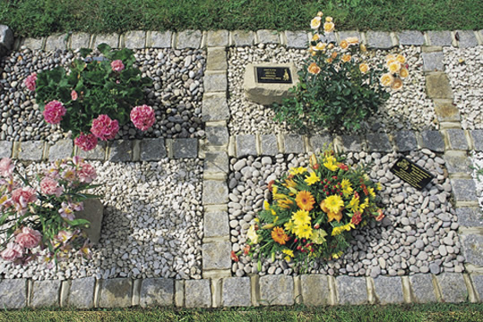 Half square plot