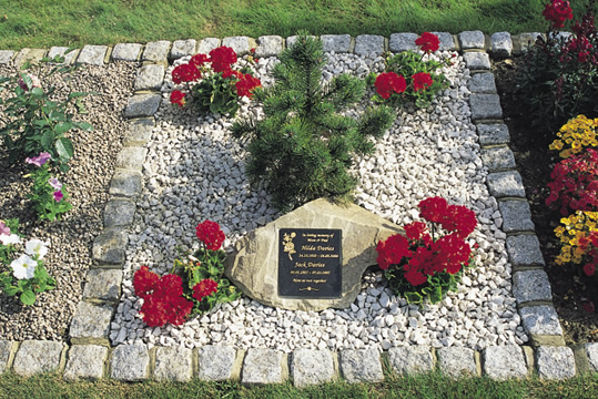 Square plot
