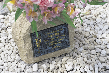 Single boulder and vase